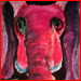 [Book Of The Jungle » Wild » Pink Elephant]