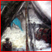[South Pole Expedition » Shelter » South Pole Shelter I]